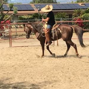 Meet your Posher, Sergio